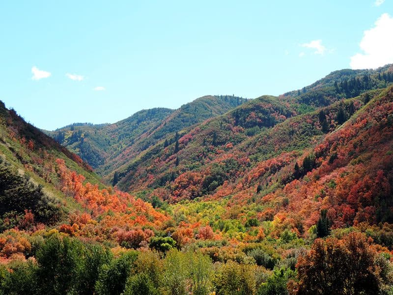 Springville Utah Landscape