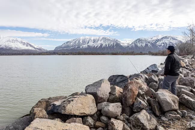 Vineyard Utah Landscape