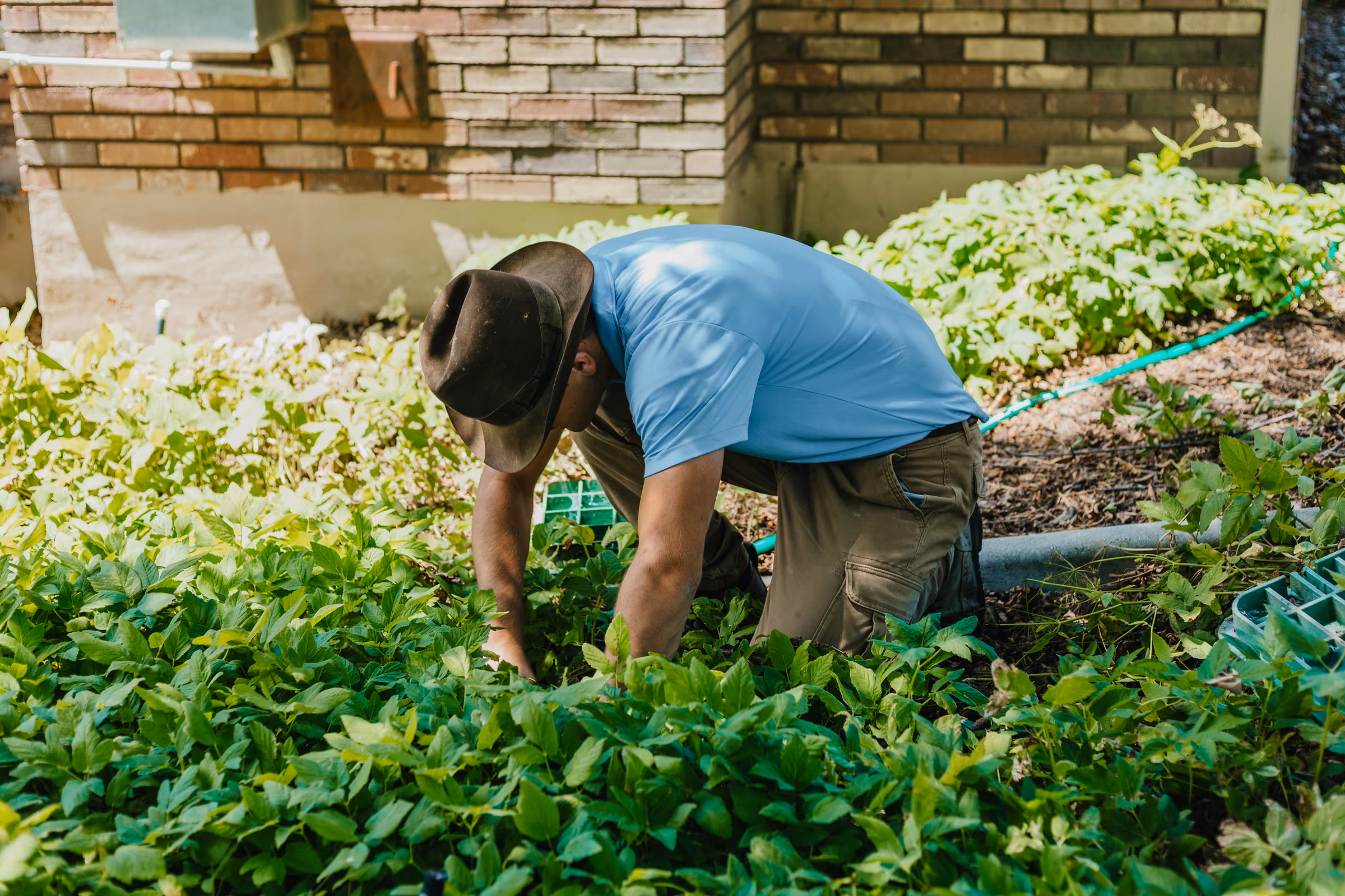 Storm Sprinklers technician repairing irrigation in a garden bed beside a brick home